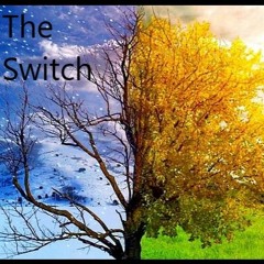 The Switch