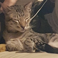 MoStack - Bitch go Back to Sleep