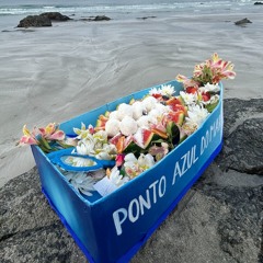 9.-Salve Nossa Mãe