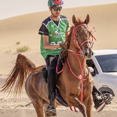 عيضه المنهالي - افعال
