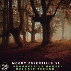 Moody Essentials 57 ~ #ProgressiveHouse #MelodicTechno Mix