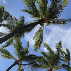 Hawaii