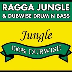 RAGGA JUNGLE/DUBWISE DRUM & BASS