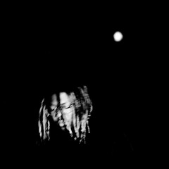 23 (PROD PI)