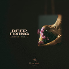 Ahmet Cegil - Deep Fixing