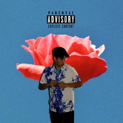 YoungPioneer - Пулный Магазин