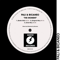 Pali & Bicaneo - The Moment