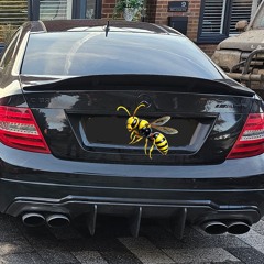 C63 AMG aka Angry Wasp.mp3