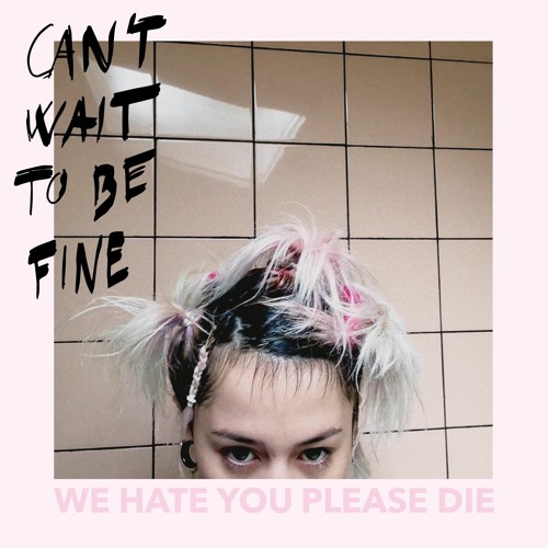 We Hate You Please Die - Barney