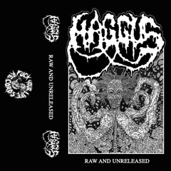 Haggus - Domestic Prison (Disrupt cover from Raw and Unreleased 2019)