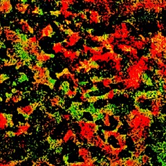 Quaintlyore Earthlingsaz