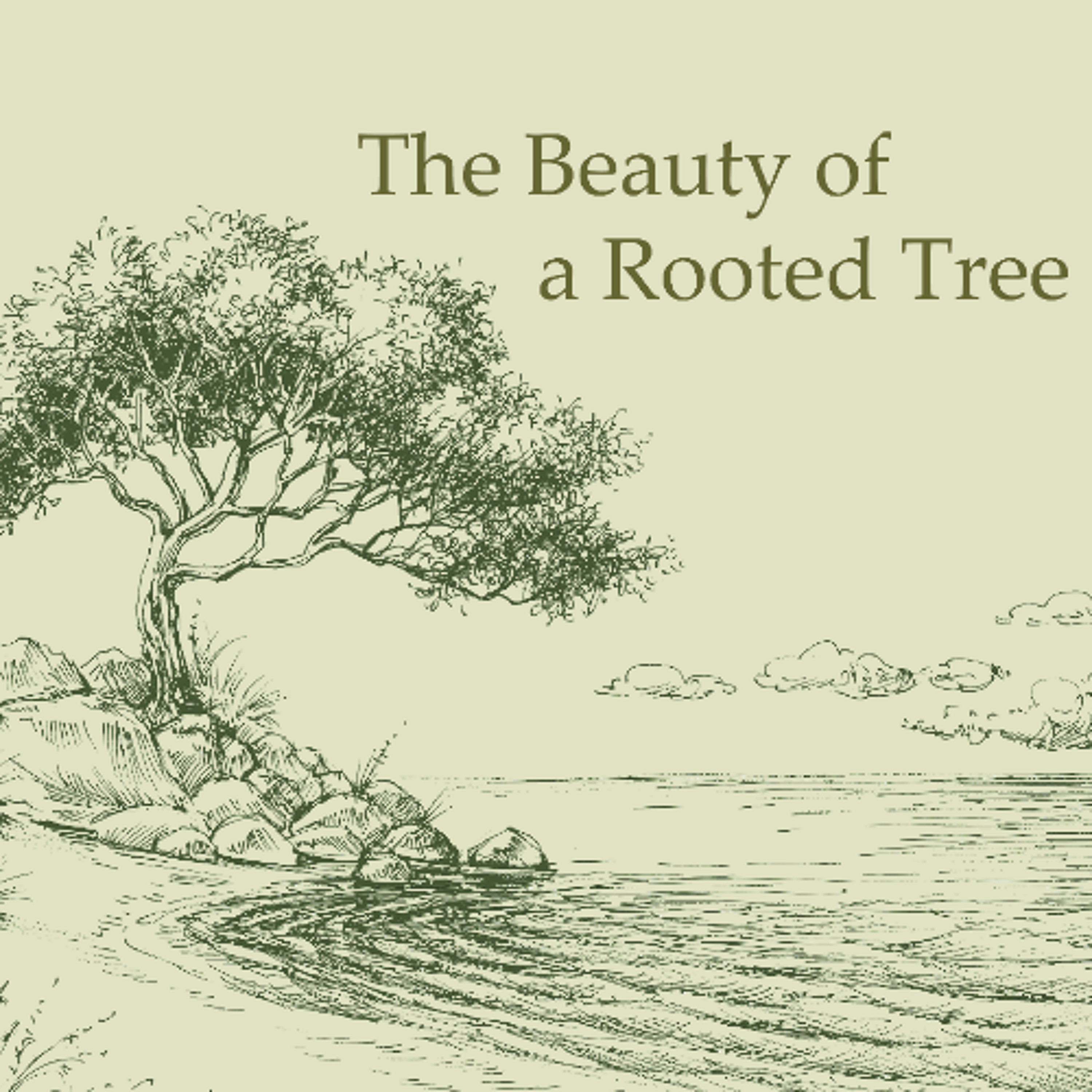 The Beauty of a Rooted Tree episode artwork