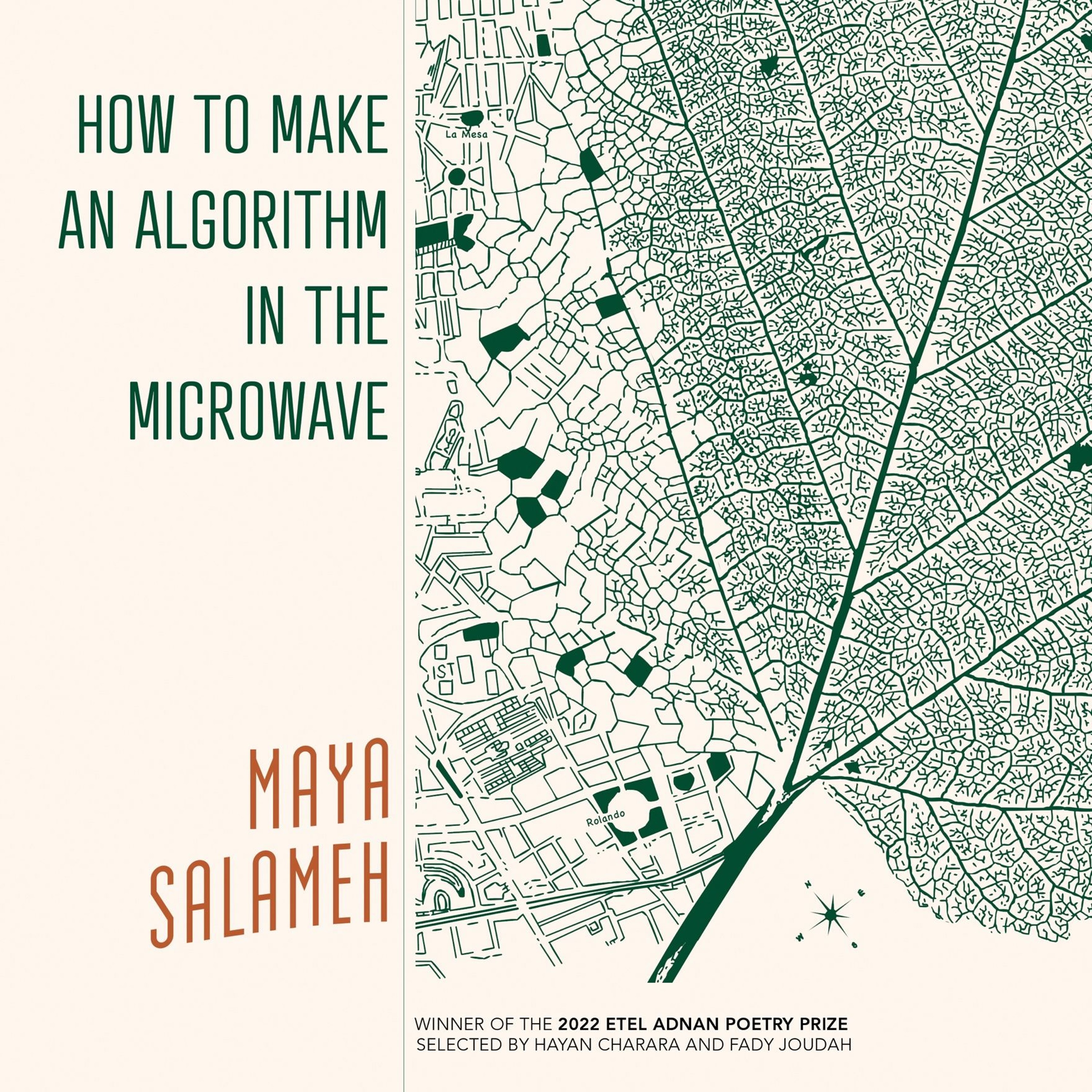 How to Make an Algorithm in the Microwave by Maya Salameh episode artwork