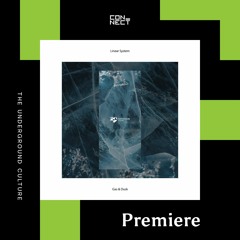 PREMIERE: Linear System - Conjectural Mass [Devotion Records]