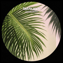 PREMIERE: lattuga - upside down