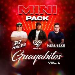 Mini Pack Guayabitos Vol.1