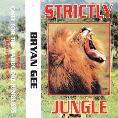 Bryan Gee & MC Bassman & MC Long John - Euphoria 'Flavour' 11-11-95 Strictly Jungle