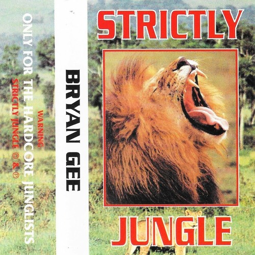 Bryan Gee & MC Bassman & MC Long John - Euphoria 'Flavour' 11-11-95 Strictly Jungle