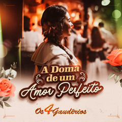 A Doma de um Amor Perfeito