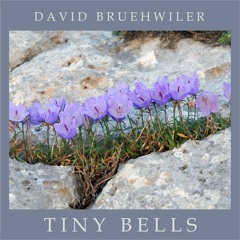 Tiny Bells
