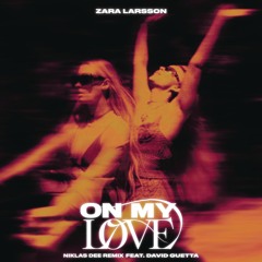 On My Love (Niklas Dee Remix) [feat. David Guetta]