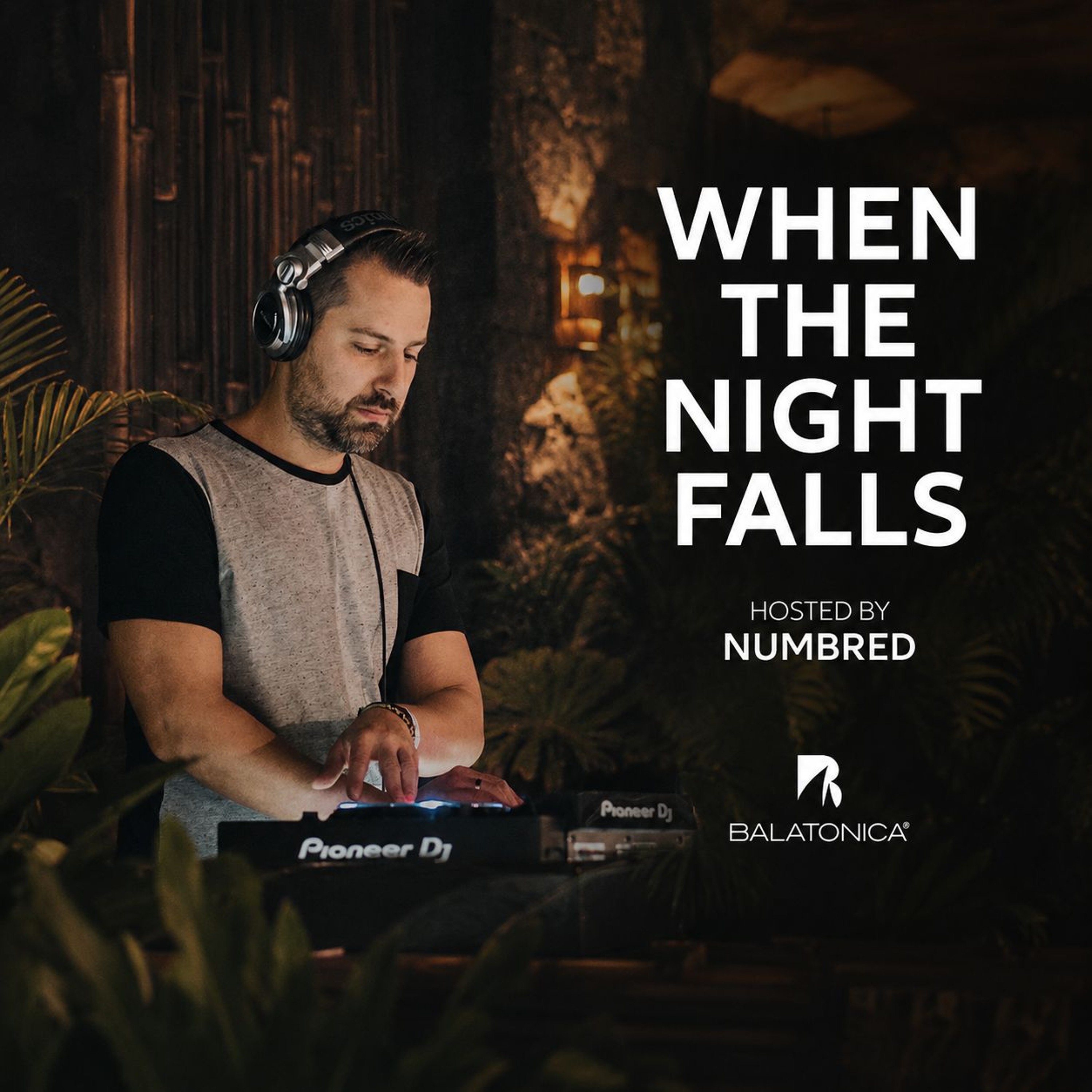 Numbred - When The Night Falls #283