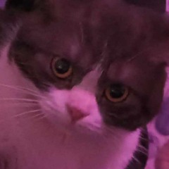 Ập vào lòng tôi những âm thanh nức nở rằng