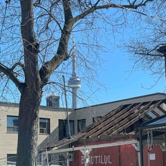 Raining in Tkaronto (Rare & Raw Ideas Vol. 1)