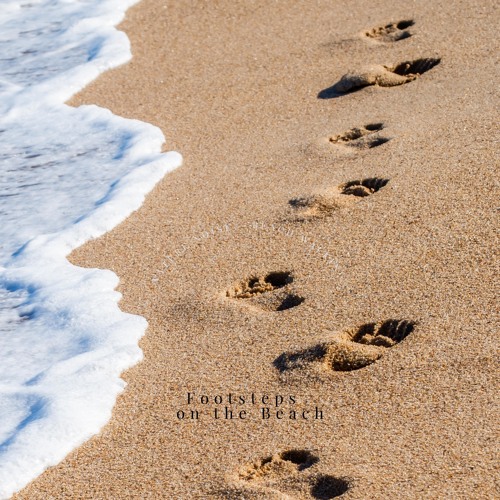 Beach Sounds