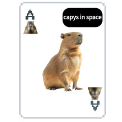 capys in space