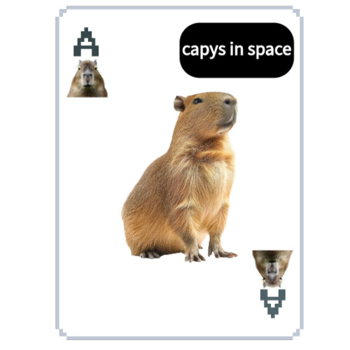 capys in space