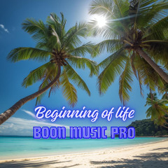Beginning of Life