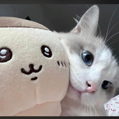 LOOK AT WHERE U ARE NOW