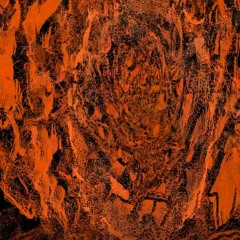 JuiceWrld-Bird View(SlowMyToughtsRemix)