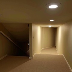 layeractivist – art in house conditions (slowed & reverb ~3 semitones)