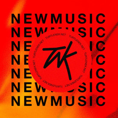 TURTLENEK: NEW MUSIC
