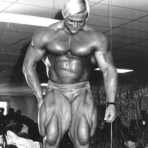 greg plitt x tom platz x sweater weather