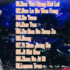 Ruo Yue Liang Mei Lai  Guo Lu De Wan Feng  Ru Yuan (Electro Manyao) By Dj Brian Bie #remixmanyao