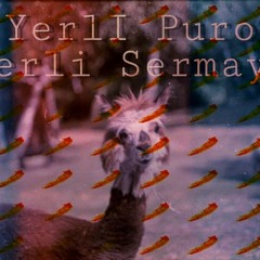 Yerli Puro Yerli Sermaye