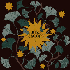Sunset Sessions - Vol. 13
