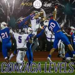 Gonzaga Levels (Avicii x Logic) [tino mashup]