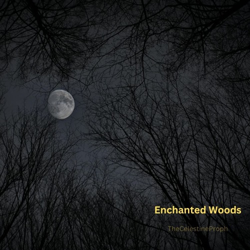 ENCHANTED WOODS