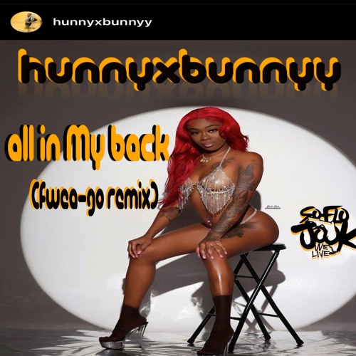 HunnyxBunnyy - All In My Back (Fwea-Go Remix)