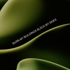 BURN MY BUILDINGS BLACK MY SKIES