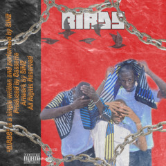 BIRDS (Prod. Cassette)