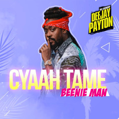 Dj Payton X Beenie Man - Cyaah Tame [City Boys Riddim 2023]