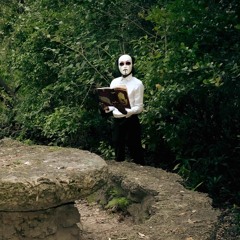 Take 9 Steps Back (fast)