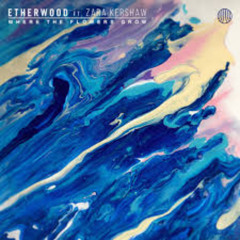 Etherwood ft Zara Kershaw - Where The Flowers Grow