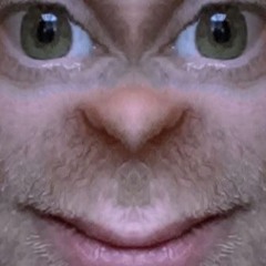 clusterfox 14
