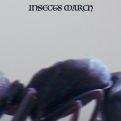 INSECTS MARCH